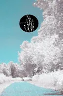 Otherworldly Ruled Notebook/Journal