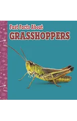 Fast Facts About Grasshoppers
