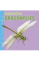 Fast Facts About Dragonflies