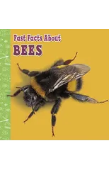 Fast Facts About Bees