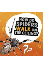 How Do Spiders Walk on the Ceiling?