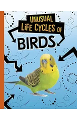 Unusual Life Cycles of Birds