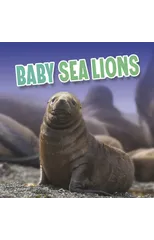 Baby Sea Lions