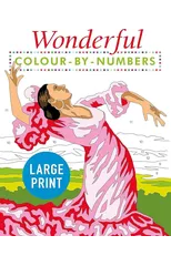 Wonderful Colour by Numbers Large Print