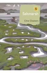Saltmarsh