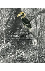 A Walk Through the Rainforest