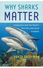 Why Sharks Matter
