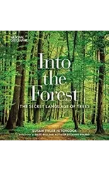 Into the Forest