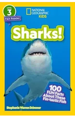 Sharks!
