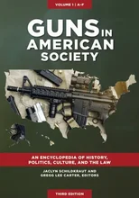 Guns in American Society