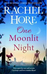 One Moonlit Night