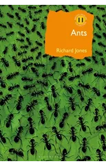 Ants