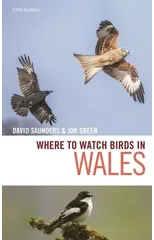 Where to Watch Birds in Wales