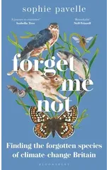 Forget Me Not