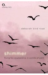 Shimmer