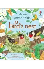 Peep Inside a Bird's Nest