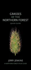 Grasses of the Northern Forest