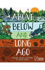 Above, Below and Long Ago