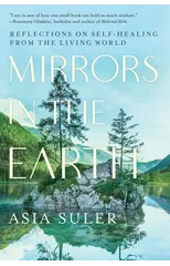 Mirrors in the Earth