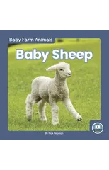Baby Sheep