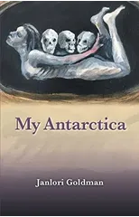 My Antarctica