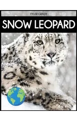 Snow Leopard