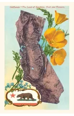 "The Vintage Journal California Map with Bear and Poppies