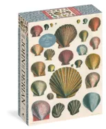 John Derian Paper Goods