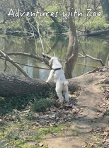 Adventures with Zoe