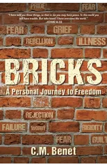 Bricks