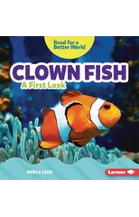 Clown Fish
