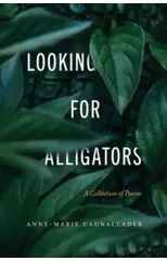 Looking For Alligators