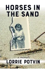 Horses in the Sand