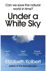 Under a White Sky