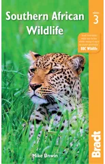 Southern African Wildlife