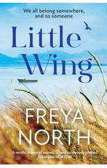 Little Wing
