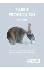 Rabbit Production