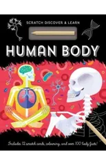 Human Body