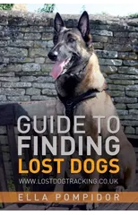 Guide to Finding Lost Dogs