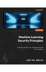 Machine Learning Security Principles