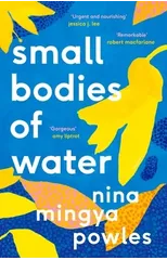 Small Bodies of Water