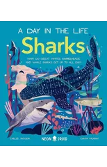 Sharks (A Day in the Life)