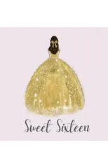 Sweet sixteen guest book, party Guest book, birthday party guest book to sign