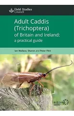 Adult Caddis (Trichoptera) of Britain and Ireland
