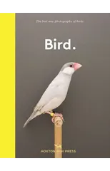 Bird.