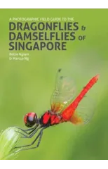 A Photographic Field Guide to the Dragonflies & Damselflies of Singapore