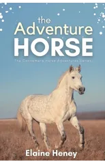 The Adventure Horse