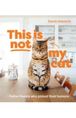 This is not my cat