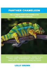 Panther Chameleon