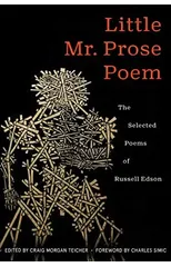 Little Mr. Prose Poem